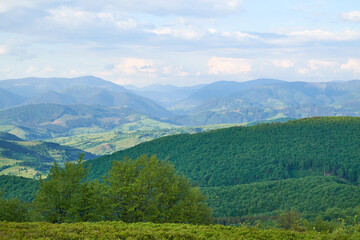 Fototapeta premium Beautiful Carpathian mountains in Ukraine