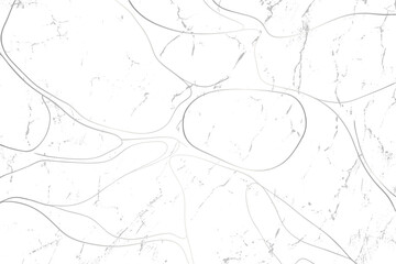 White marble texture background with natural pattern isolated on transparent background