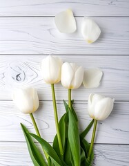 White tulips on white wood