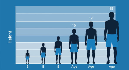 A graphic representation illustrates the growth of males from childhood to adulthood, showing height progression across different age groups