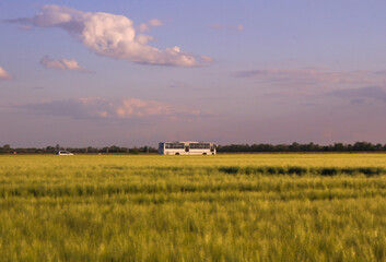 Fototapeta premium Bus driving past a green field