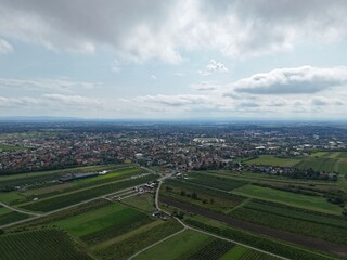 Blick &uuml;ber die Weing&auml;rten auf Baden bei Wien 