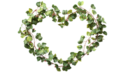 A heart made of lush green leafy vines stands out against a white background, symbolizing love, nature, and growth.
