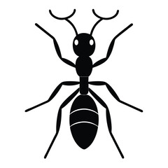 ant minimal icon vector icon