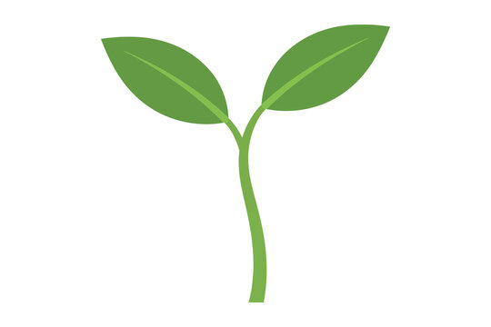 Vector art of green sprout, symbolizing growth, new beginnings, and nature, rendered in a simple, clean style for versatile design applications