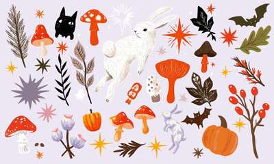 Vector set of autumn mushrooms branches bats rabbits leaves flowers pumpkins stars and magic nature isolated on cream background.