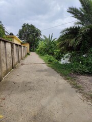 Beautiful natural rural landscape surrounded by trees in a peaceful rural setting in sunny day