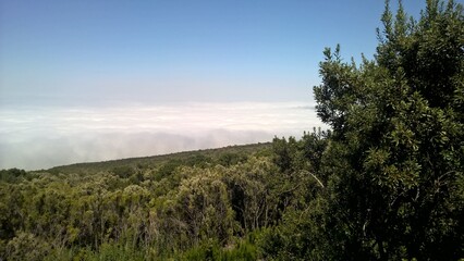 best photos of the  canary islands with tenerife, gran canaria, la palma, la gomera