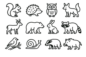 Raccoon bird autumn icon deer wild snail icons fox boar branch vector