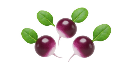 Three purple radishes with green leaves isolated PNG, fresh root vegetables on transparent background for healthy eating and cooking