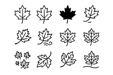 Veins vector leaf silhouette maple icon detailed single scattered shape