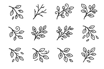 Icon line leaf twig curled branch vector falling autumn leaves