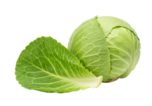 A vibrant green head of cabbage with crisp outer leaves and a detailed single leaf, artfully arranged on a seamless transparent background with copy space, concept of healthy eating and natural
