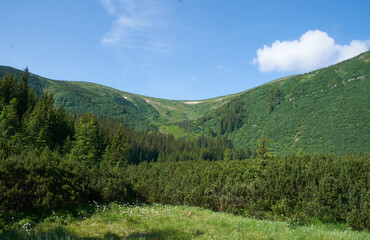 Beautiful Carpathian mountains in Ukraine