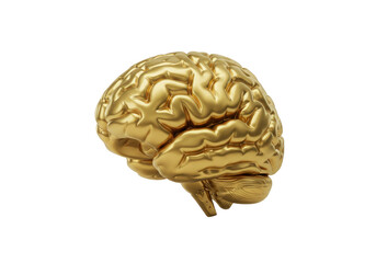 Golden brain isolated on transparent background, shiny metallic cerebrum in PNG format for medical and educational use, anatomical model