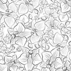 Orchid seamless pattern. Floral line art wallpaper. Botanical black white background. Flower design for textiles, wall art, fabric, wedding, cover, backdrop, banner, card, texture. Vector illustration