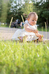 a young child in a white dress sits on a grassy park path, intently exploring the grass and surroundings on a sunny day, with blurred trees and foliage in the background, joy, interaction, softness
