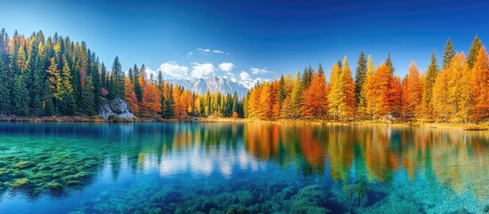 Naklejka premium Autumnal Lake Reflection: Vibrant Forest, Crystal Waters, Mountain Backdrop, Serene Landscape.