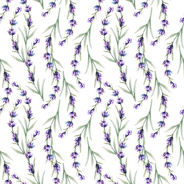 Hand Drawn Floral Background. Lavender Seamless Pattern. Lavender Watercolor. Provence Flowers Print. Lavender pattern for wallpapers, textile, cards, labels