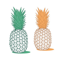 Obraz premium Two hand drawn pineapples one green one orange.