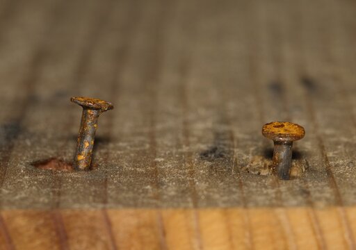 denailing reclaimed wood two rusty nails in old wooden board partly exposed concept.