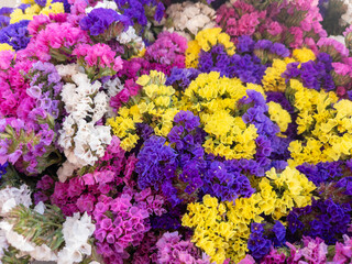 Colorful statice limonium bouquet vibrant purple, yellow, pink floral background