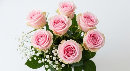 Obraz premium A beautiful bouquet of pink roses with babys breath isolated on white background