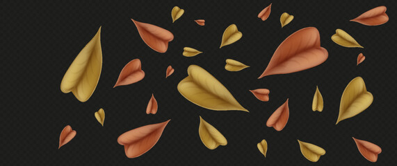 Autumn falling leaves. Flying orange and red leaves from tree. Autumn concept. Vector illustration