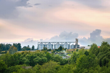 Rural landscape view with large metal silos and agricultural storage facility surrounded by trees under soft evening sky in countryside area with peaceful natural setting, grain storage facility © Tricky Shark