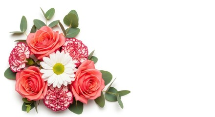 Beautiful coral roses, carnations, and daisy flower arrangement isolated on white background