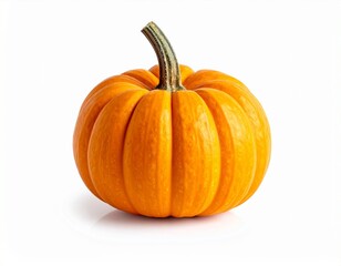 Obraz premium Bright Orange Miniature Pumpkin with Green Stem Isolated on a White Background