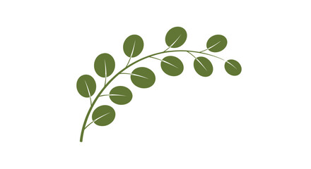 Fototapeta premium A delicate sprig of green leaves unfurls on a light background.