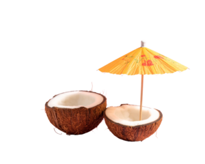 Tropical beach concept made of coconut fruit and sun umbrella. Creative minimal summe 