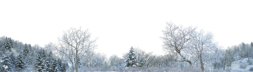 3D render panoramic view of mountains in winter on a transparent background.	