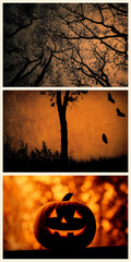 halloween collage with silhouetted trees, flying birds, and glowing jack-o'-lantern in warm orange and black autumnal composition