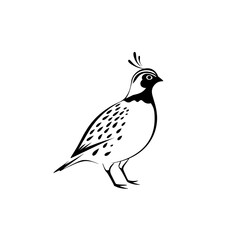 Fototapeta premium quail. quail simple black and white line art vector logo