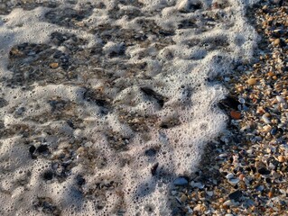 Seashells and sea foam on the sandy beach