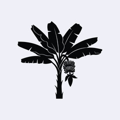 A striking silhouette of a banana plant with a floral bloom