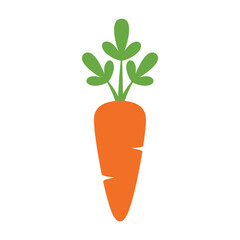 A simple illustration depicts a vibrant orange carrot with green foliage