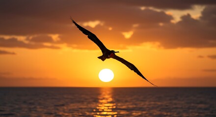 bird standing on lakeside reflection in golden hour