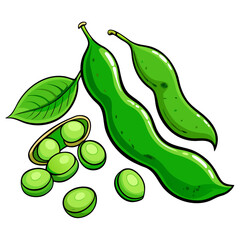 vector illustration of a pear