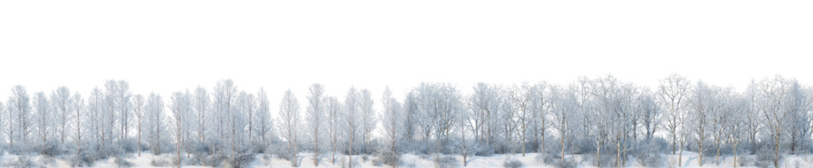 3D render panoramic view of mountains in winter on a transparent background.	
