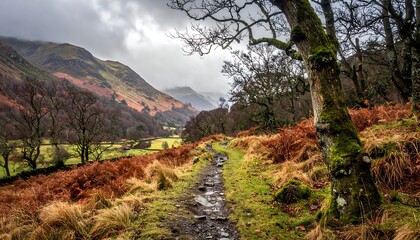 Fototapeta premium Autumnal Mountain Path Winding Through Nature's Embrace