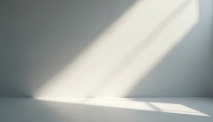Soft natural light creates clean shadows on a minimalist gray wall and floor. This empty space offers a peaceful and elegant backdrop for design or product placement, conveying modern simplicity.