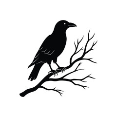 mysterious raven bird sitting on bare tree branch silhouette vector art illustration