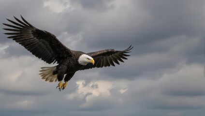 Obraz premium Majestic eagle soaring through a stormy sky