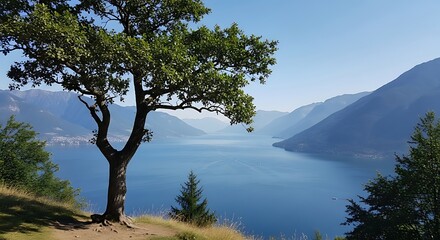 Serene Mountain Lake View.