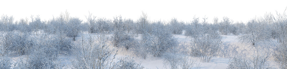 3D render panoramic view of mountains in winter on a transparent background.	