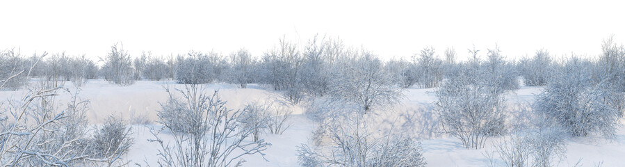 3D render panoramic view of mountains in winter on a transparent background.	