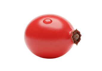 Vibrant red rose hip isolated on transparent background, single fruit close-up for healthy eating and natural medicine concepts